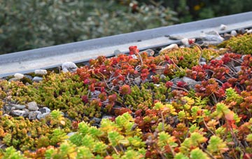 the cost of Atrim green roof installation