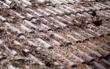 Atrim roof cleaning companies